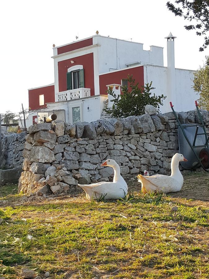 Masseria Trulli Sull'Aia Cisternino Zewnętrze zdjęcie