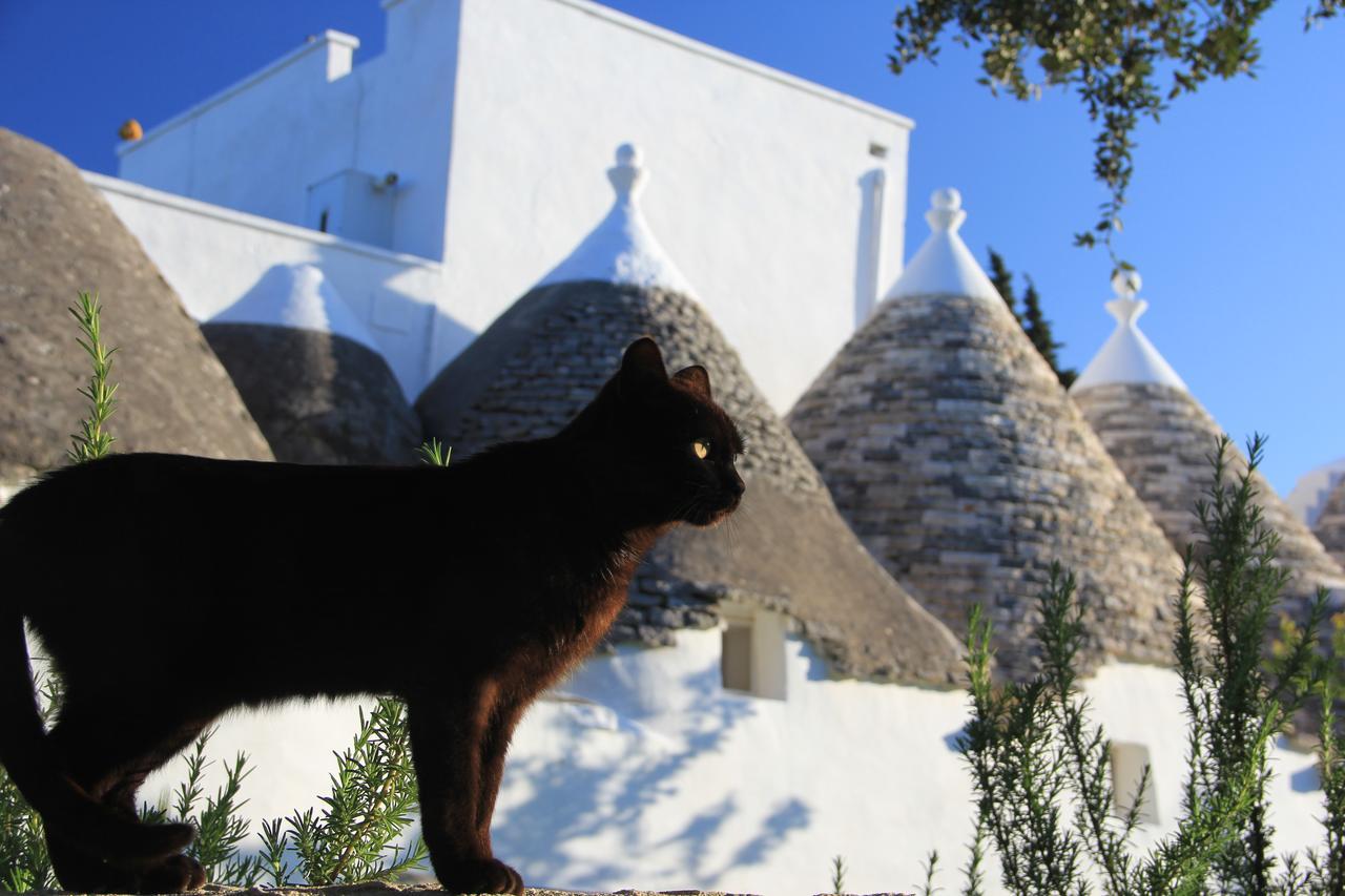 Masseria Trulli Sull'Aia Cisternino Zewnętrze zdjęcie